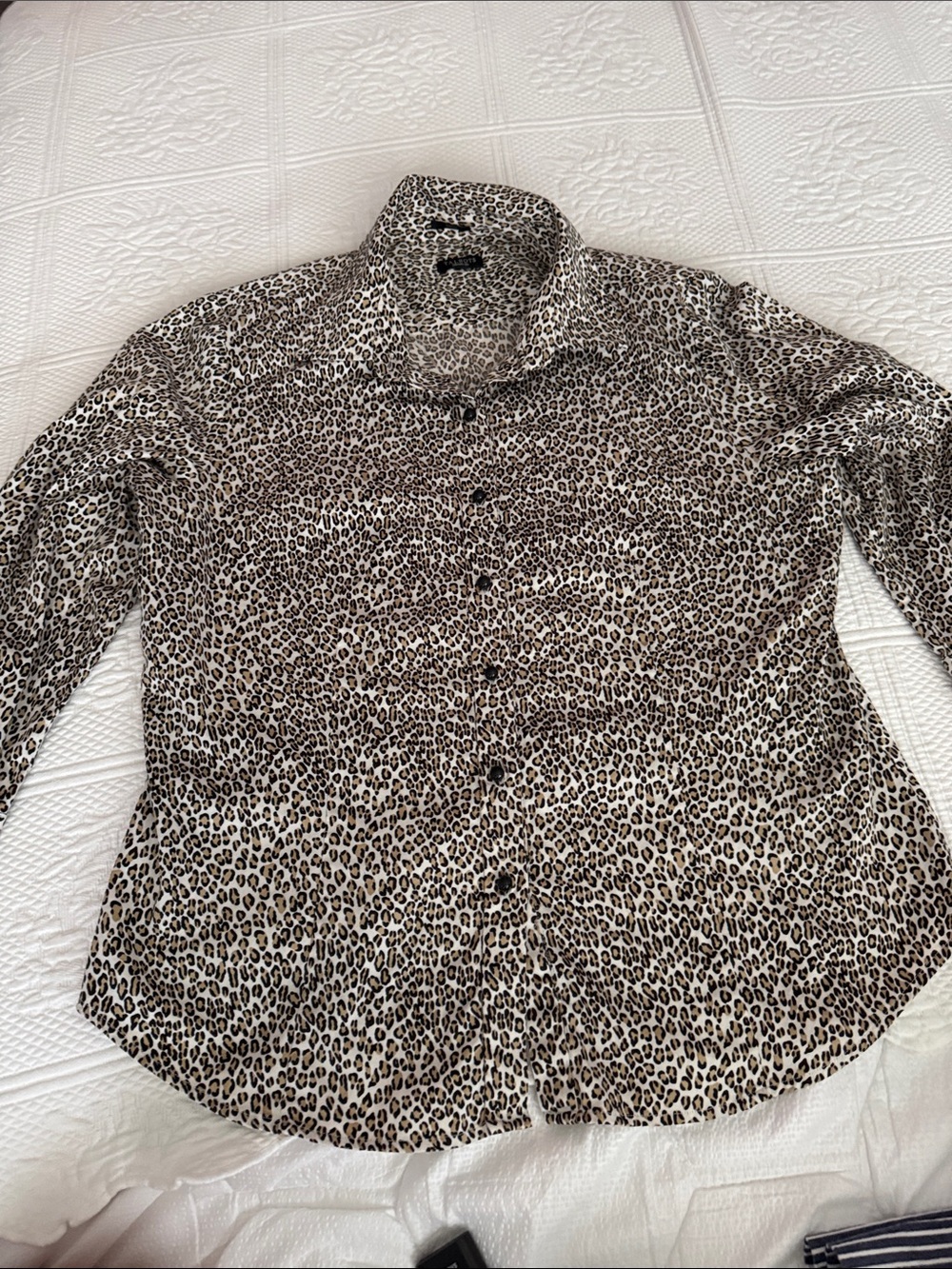 Talbots Women's Leopard Print Button-Up Blouse - Beige/Black